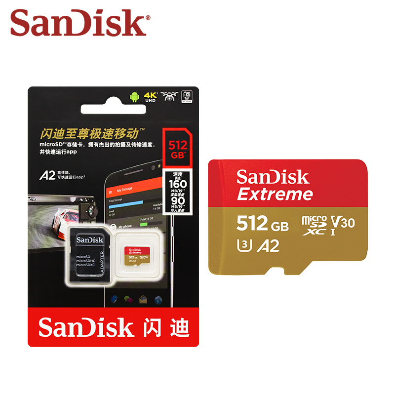 Memory Card Ssd - SanDisk Extreme V30 A2 scheda di